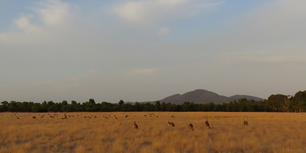 A future for the You Yangs region