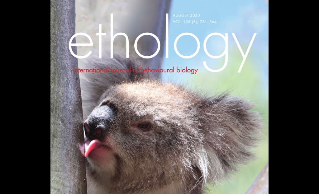 Echidna Walkabout cover Ethology science journal